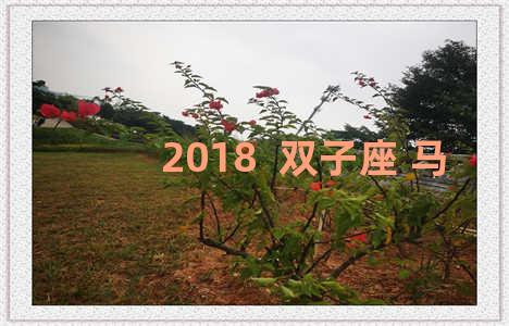 2018  双子座 马